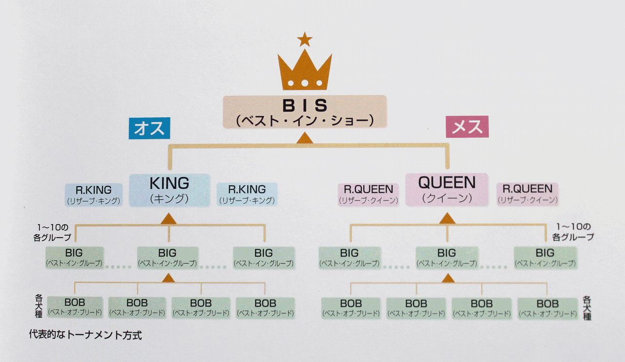 トーナメント表