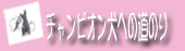 チャンピオンへの道のり