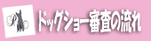 ドッグショー審査の流れ