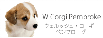 ウェルシュコーギーベンブローク