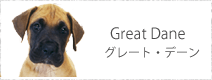 グレート・デーン