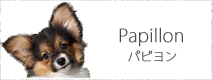 パピヨン
