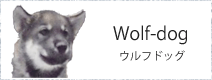 ウルフドッグ