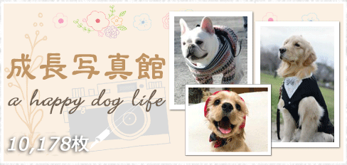 成長写真館