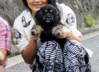 アメリカン・コッカースパニエル