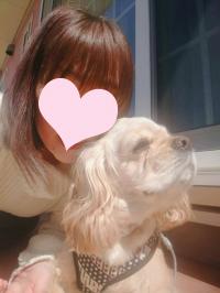 アメリカン・コッカースパニエル