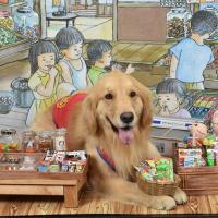 ゴールデンレトリバー