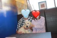 ゴールデンレトリバー