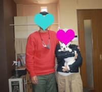 フレンチブルドック