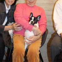 フレンチブルドック