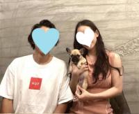 フレンチブルドック