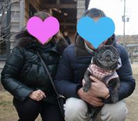 フレンチブルドック