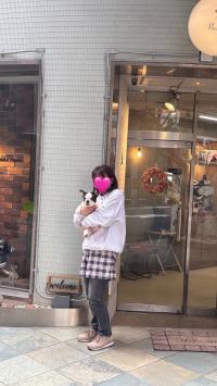 フレンチブルドック