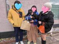 フレンチブルドック