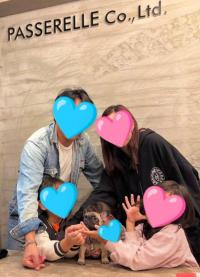 フレンチブルドック